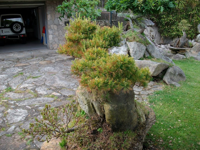 Divagando sobre la vida, a mi entender. Desde Vigo.. Divagando about